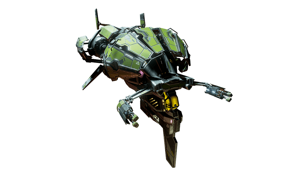 Scarab ship